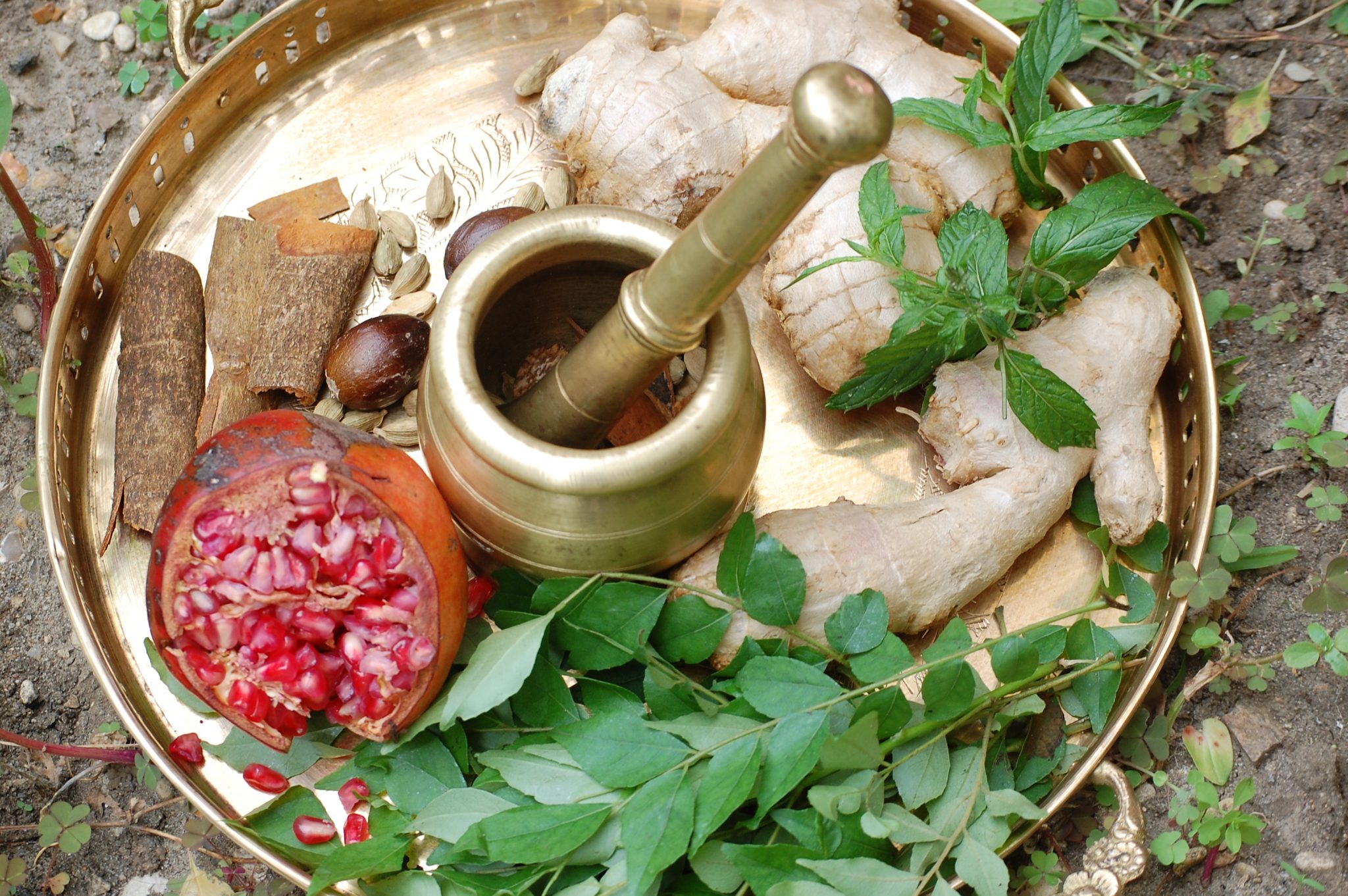 Formation en ligne d'Ayurvéda Niveau 1 Tapovan