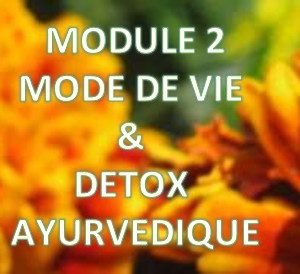 Formation en ligne d’Ayurvéda – Module 2