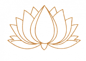 Lotus 01