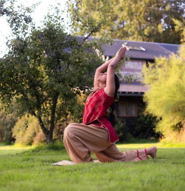 You are currently viewing 2 Master Class de Yoga exceptionnelles animées par Kiran Vyas