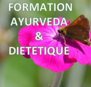 Formation en ligne d’Ayurvéda et diététique – Module 1, 2 & 3