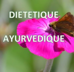 Formation en Diététique ayurvédique