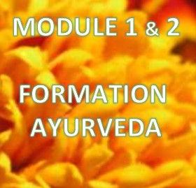 Formation en ligne d’Ayurvéda – Module 1 & 2