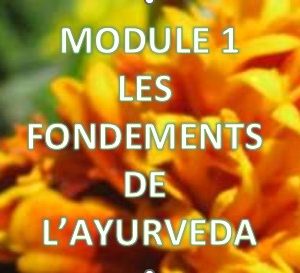 Formation en ligne d’Ayurvéda – Module 1